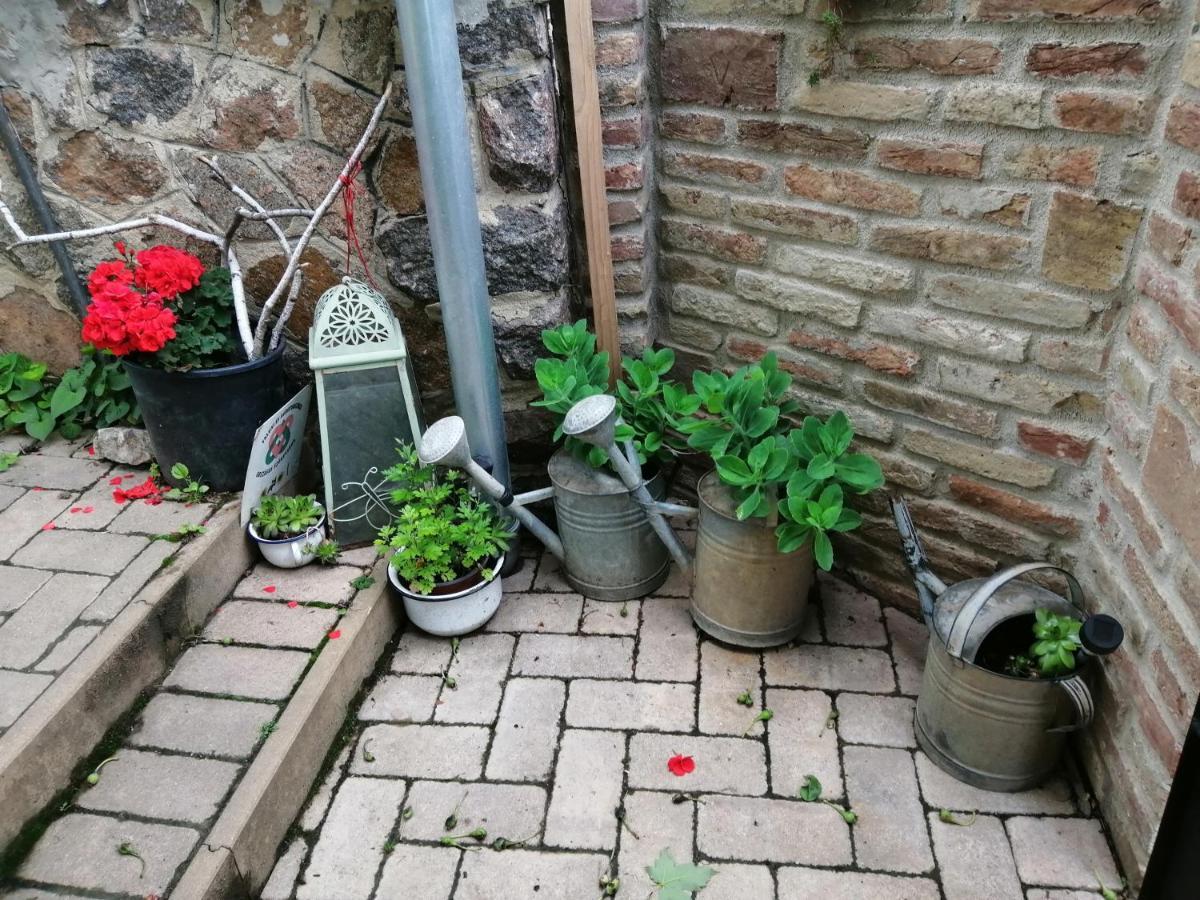 Míves Vendégház Pogány Extérieur photo