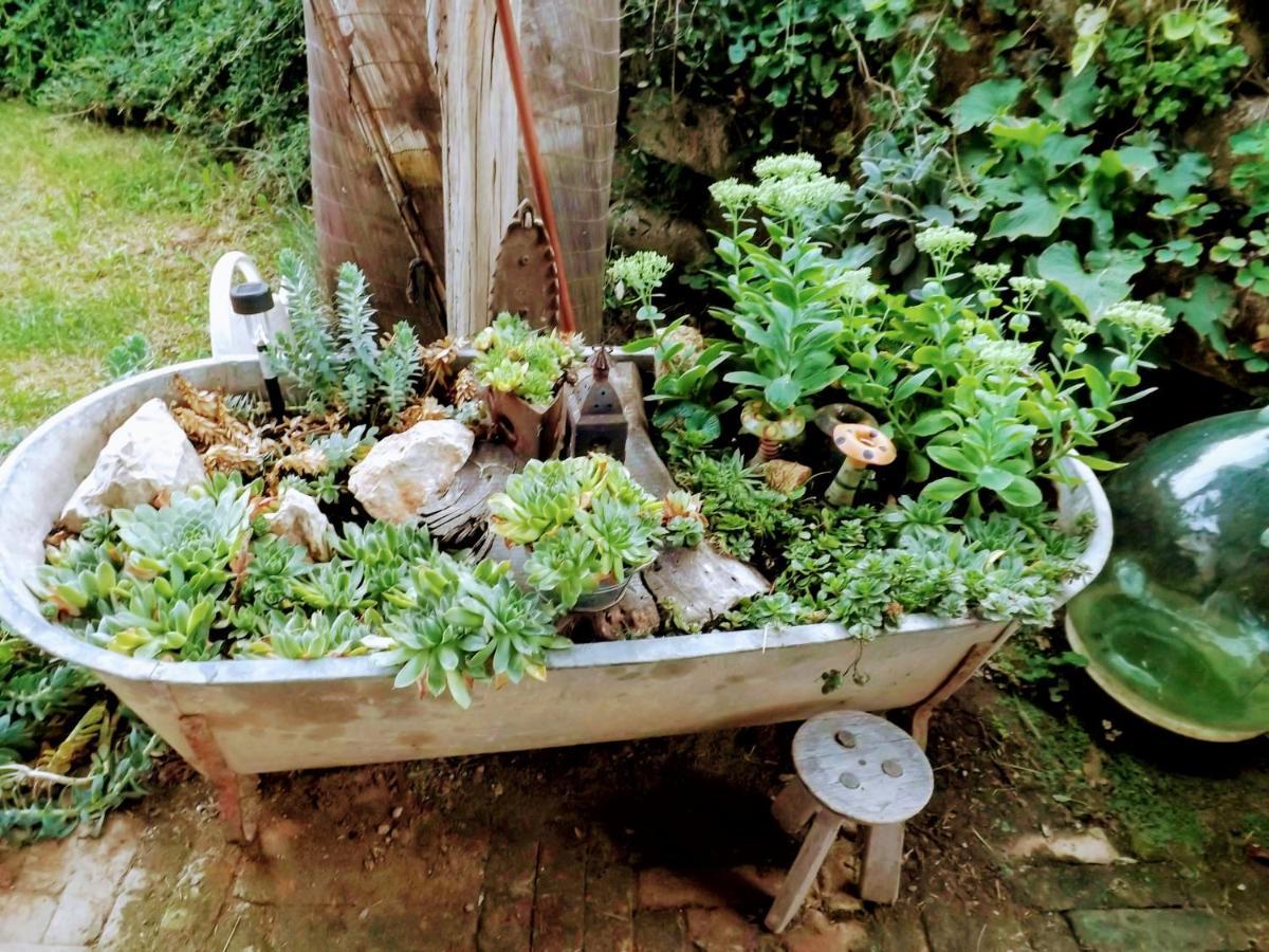 Míves Vendégház Pogány Extérieur photo