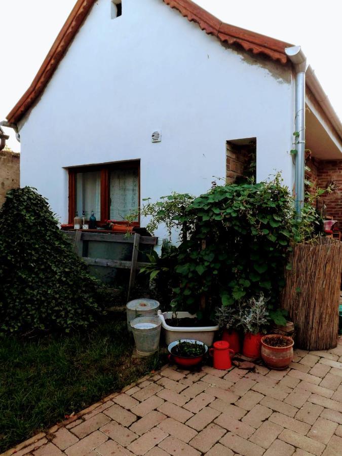 Míves Vendégház Pogány Extérieur photo