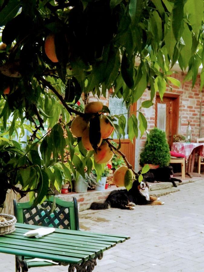 Míves Vendégház Pogány Extérieur photo